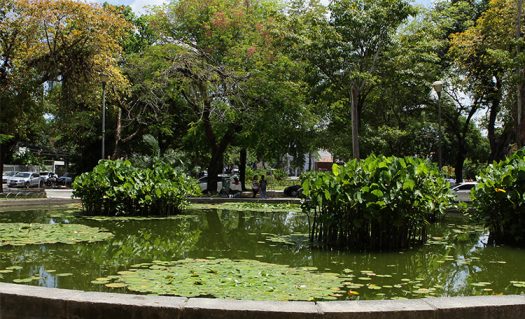 O Que Fazer Praca De Casa Forte Destaque Visit Recife