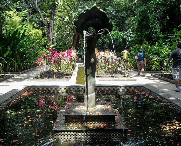 Os temas do Olha! Recife serão CurioCidades, Jardim Botânico e cultura árabe